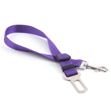 Fixed Strap Buckled Leash