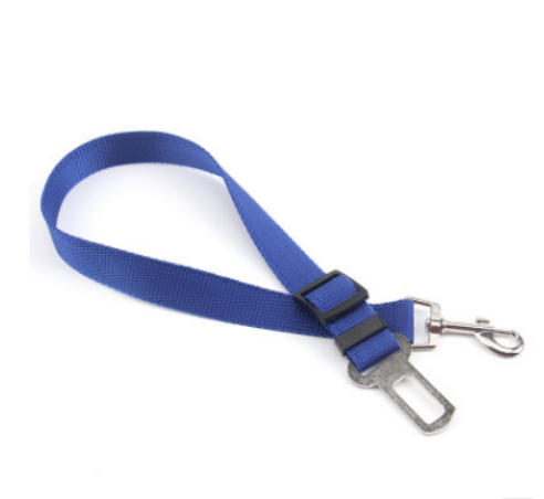 Fixed Strap Buckled Leash