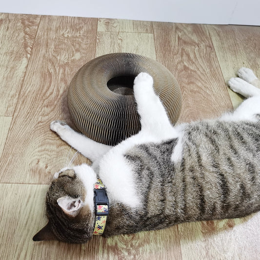 Recyclable Durable Cat Scratcher Toy