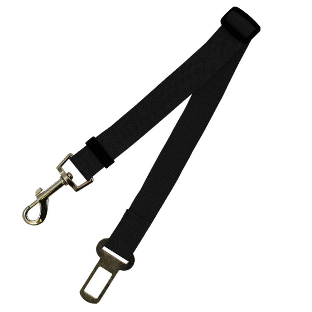 Fixed Strap Buckled Leash