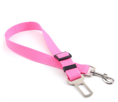 Fixed Strap Buckled Leash