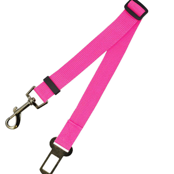 Fixed Strap Buckled Leash