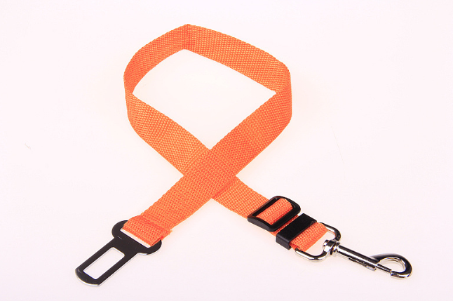 Fixed Strap Buckled Leash