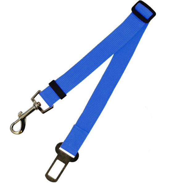 Fixed Strap Buckled Leash