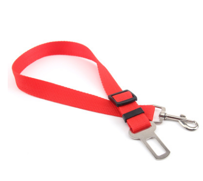 Fixed Strap Buckled Leash