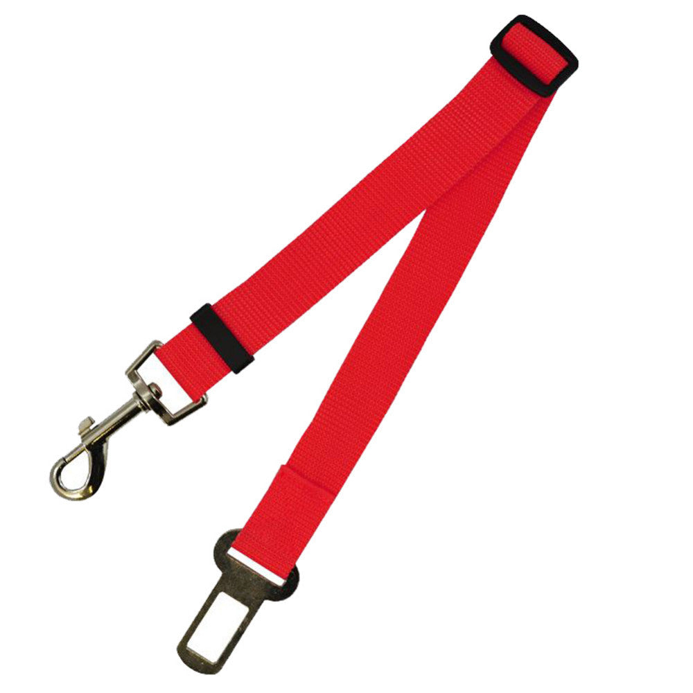 Fixed Strap Buckled Leash