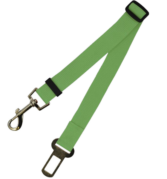 Fixed Strap Buckled Leash