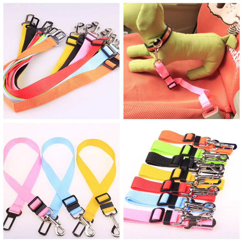 Fixed Strap Buckled Leash