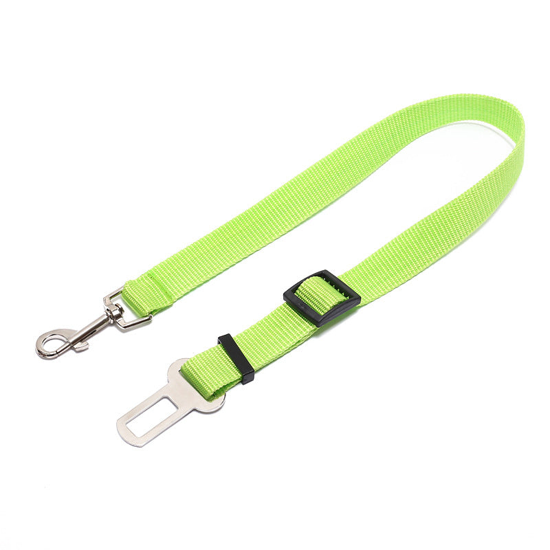 Fixed Strap Buckled Leash