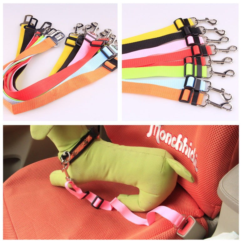 Fixed Strap Buckled Leash