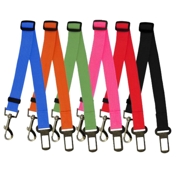 Fixed Strap Buckled Leash