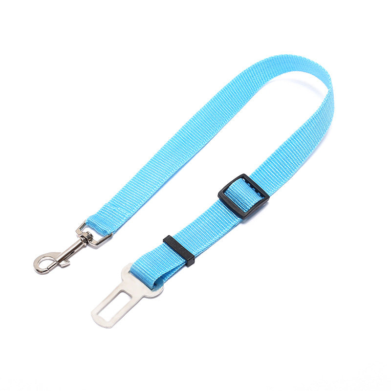 Fixed Strap Buckled Leash