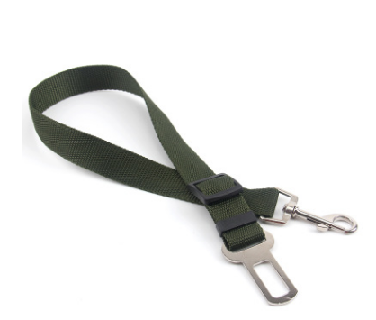 Fixed Strap Buckled Leash