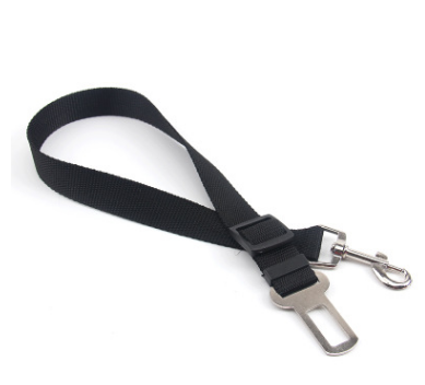 Fixed Strap Buckled Leash