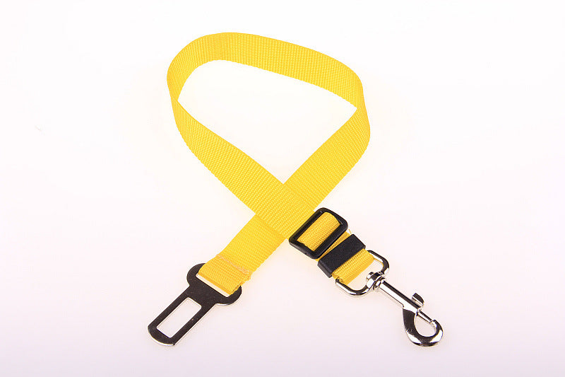 Fixed Strap Buckled Leash