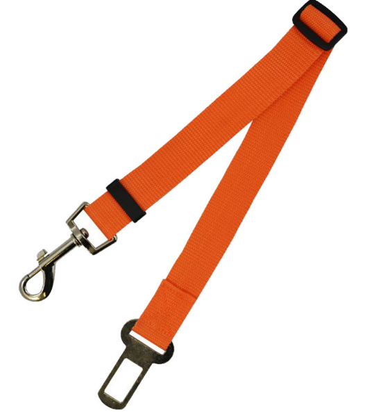 Fixed Strap Buckled Leash