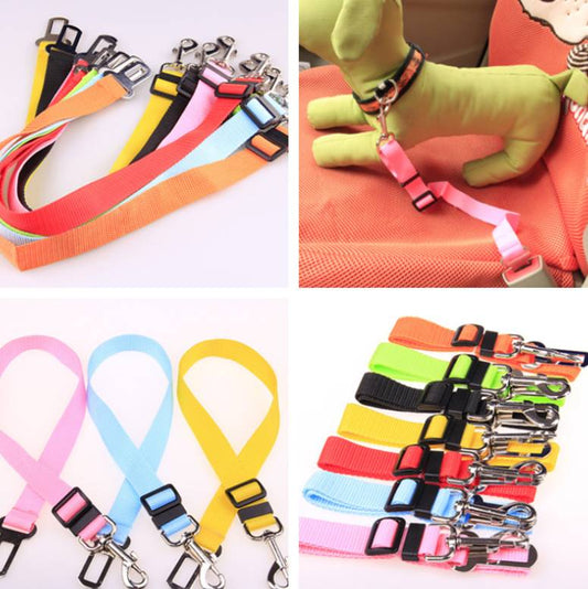 Fixed Strap Buckled Leash